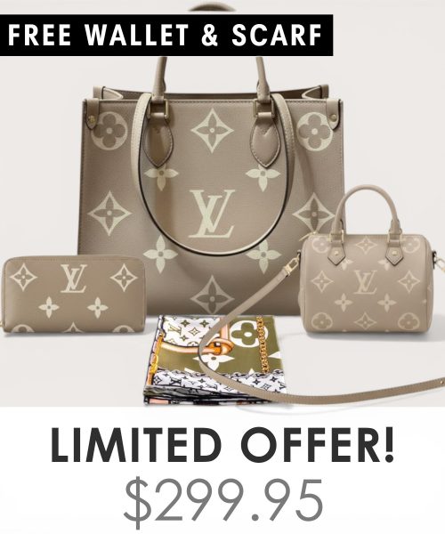 Big bag + Nano speedy + Gifts (Free LV Wallet + Free LV Silk Scarf)