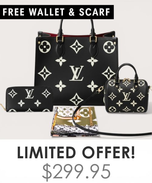 Big bag + Nano speedy + Gifts (Free LV Wallet + Free LV Silk Scarf)