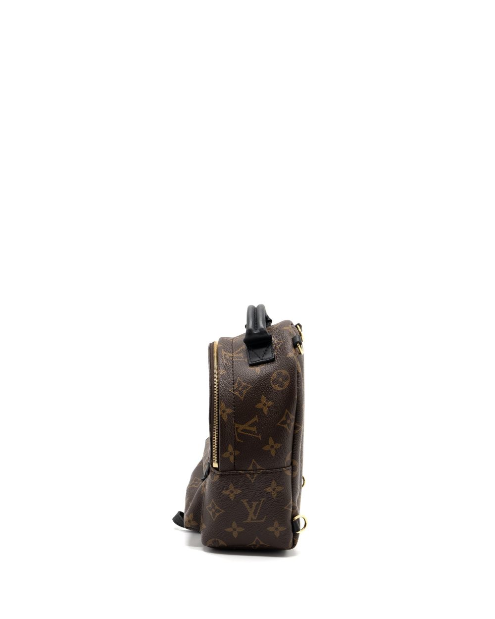 AAA Replica Louis Vuitton LV MINI PALM SPRING BACKPACK MONOGRAM CANVAS GHW