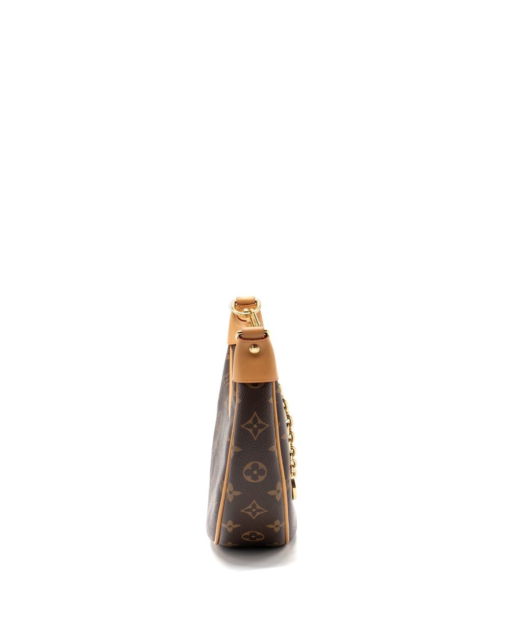 AAA Replica Louis Vuitton LV LOOP BAG MONOGRAM CANVAS GHW(NEW VERSION)