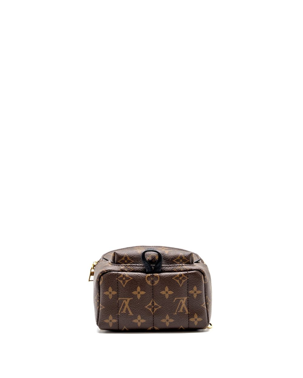 AAA Replica Louis Vuitton LV MINI PALM SPRING BACKPACK MONOGRAM CANVAS GHW