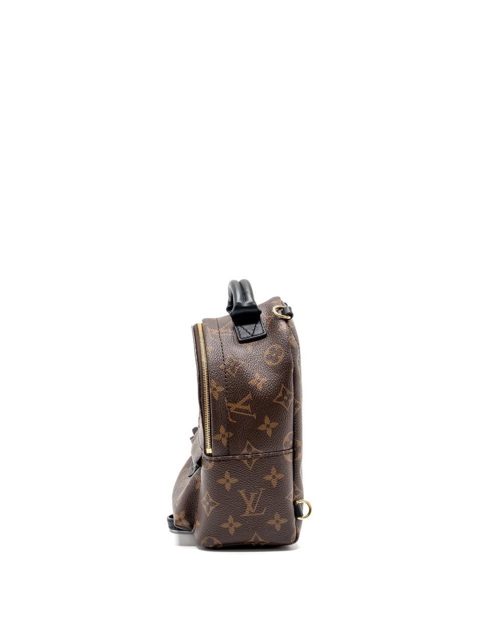 AAA Replica Louis Vuitton LV MINI PALM SPRING BACKPACK MONOGRAM CANVAS GHW