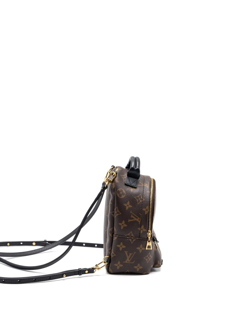 AAA Replica Louis Vuitton LV MINI PALM SPRING BACKPACK MONOGRAM CANVAS GHW