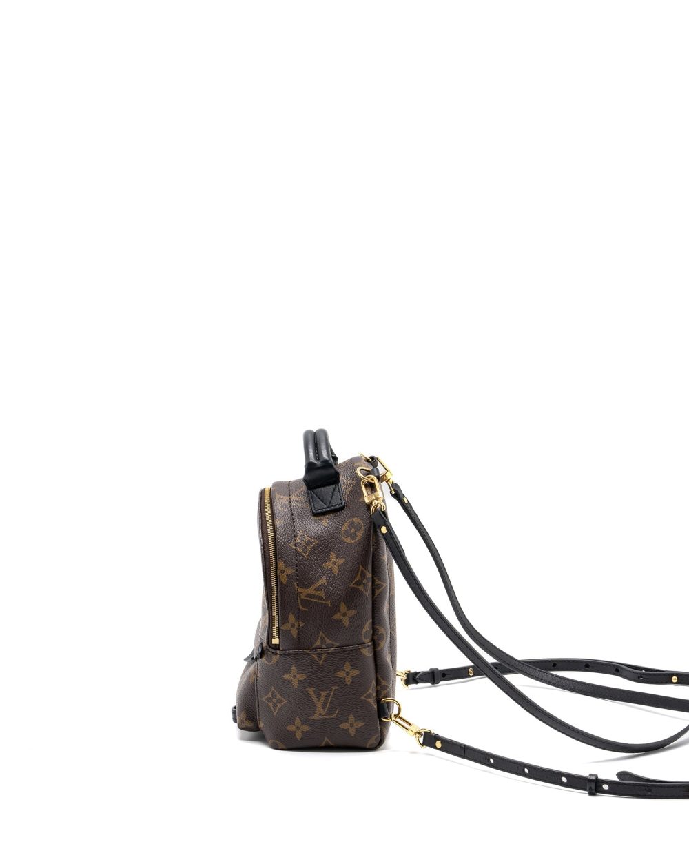 AAA Replica Louis Vuitton LV MINI PALM SPRING BACKPACK MONOGRAM CANVAS GHW