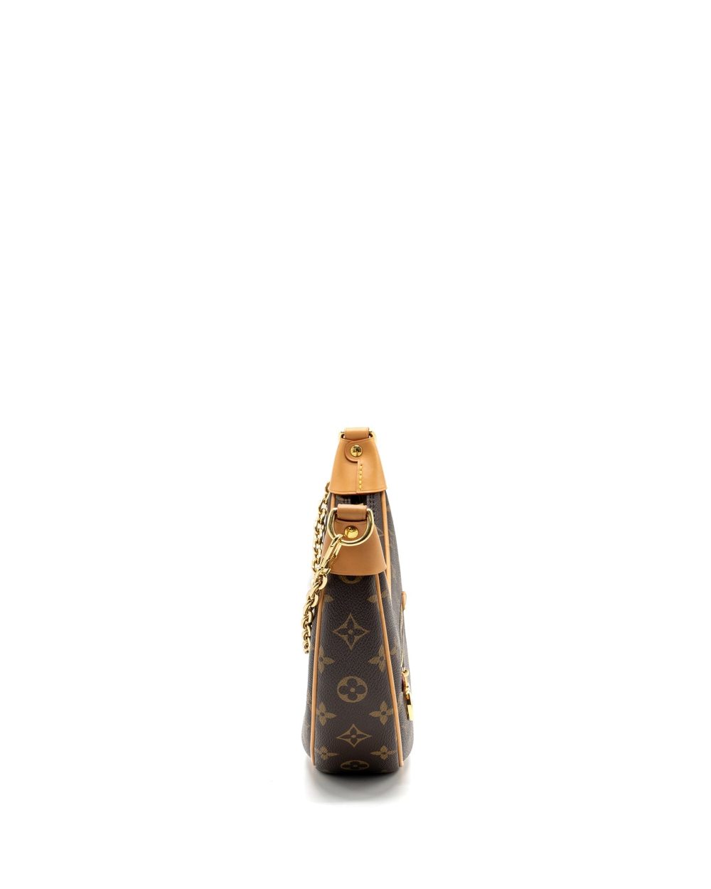 AAA Replica Louis Vuitton LV LOOP BAG MONOGRAM CANVAS GHW 
