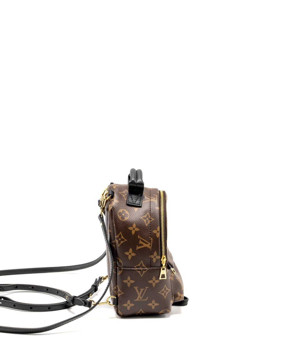 AAA Replica Louis Vuitton LV MINI PALM SPRING BACKPACK MONOGRAM CANVAS GHW
