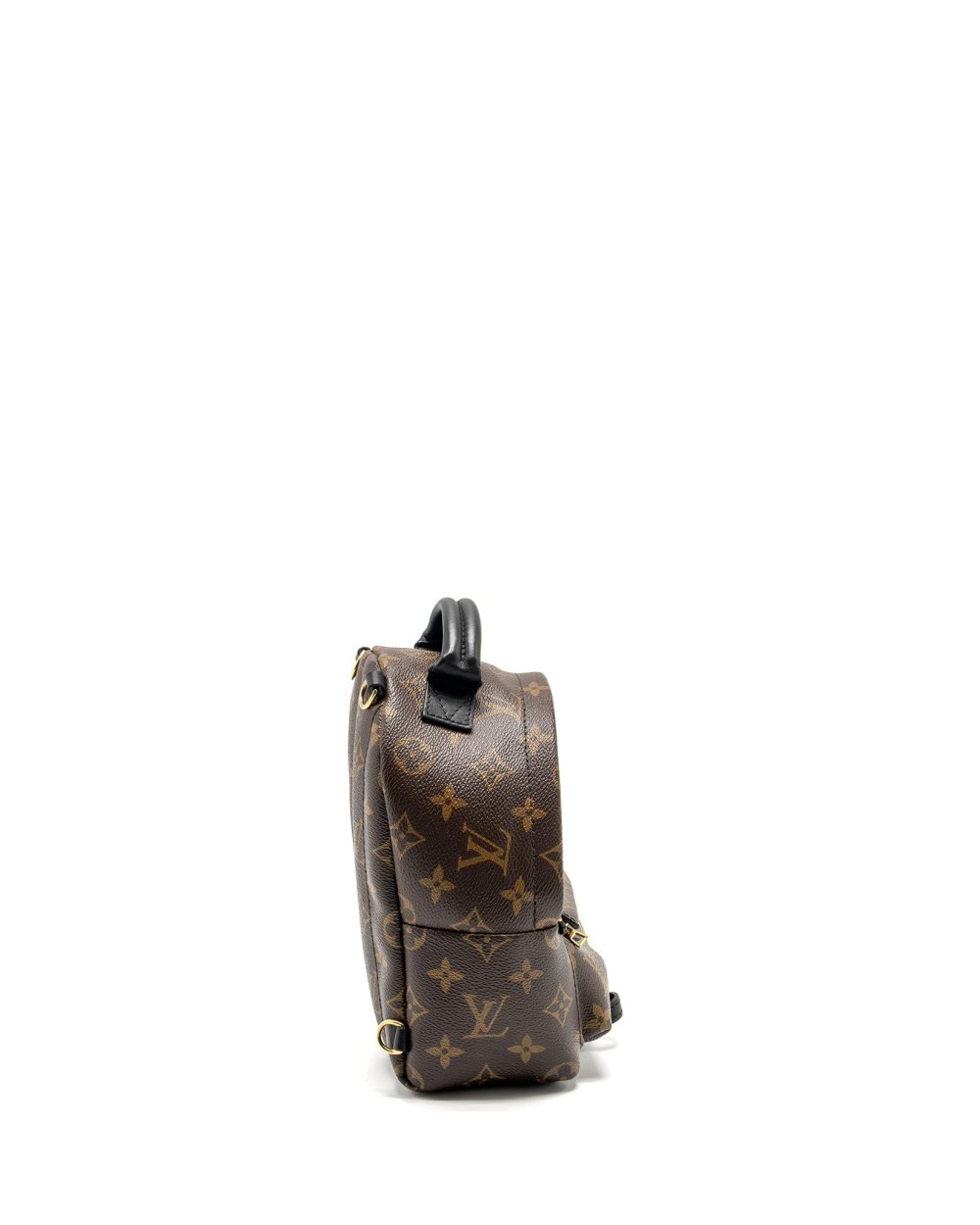AAA Replica Louis Vuitton LV PALM SPRING MINI BACKPACK MONOGRAM CANVAS GHW