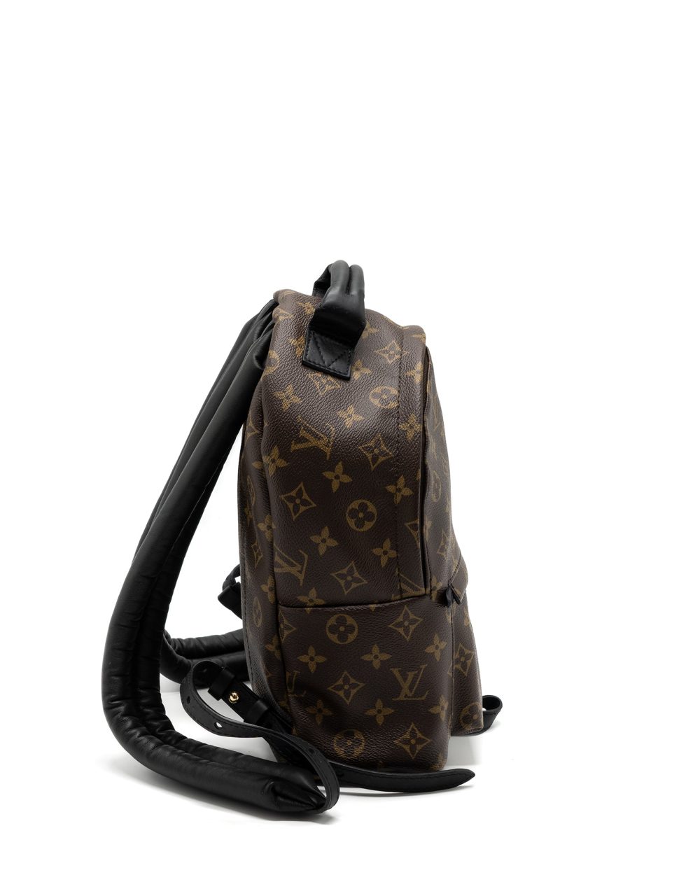 AAA Replica Louis Vuitton LV PALM SPRING BACKPACK PM MONOGRAM CANVAS GHW