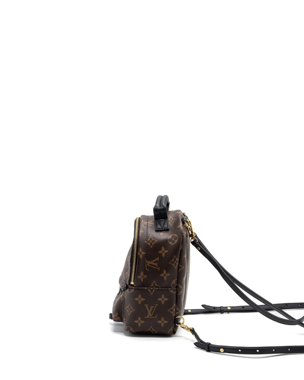AAA Replica Louis Vuitton LV PALM SPRING MINI BACKPACK MONOGRAM CANVAS GHW (NEW VERSION)