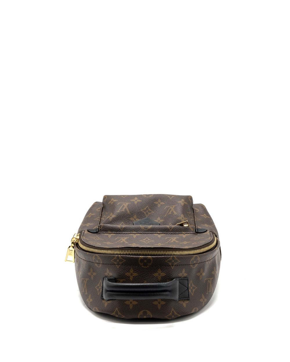 AAA Replica Louis Vuitton LV PALM SPRING BACKPACK PM MONOGRAM CANVAS GHW