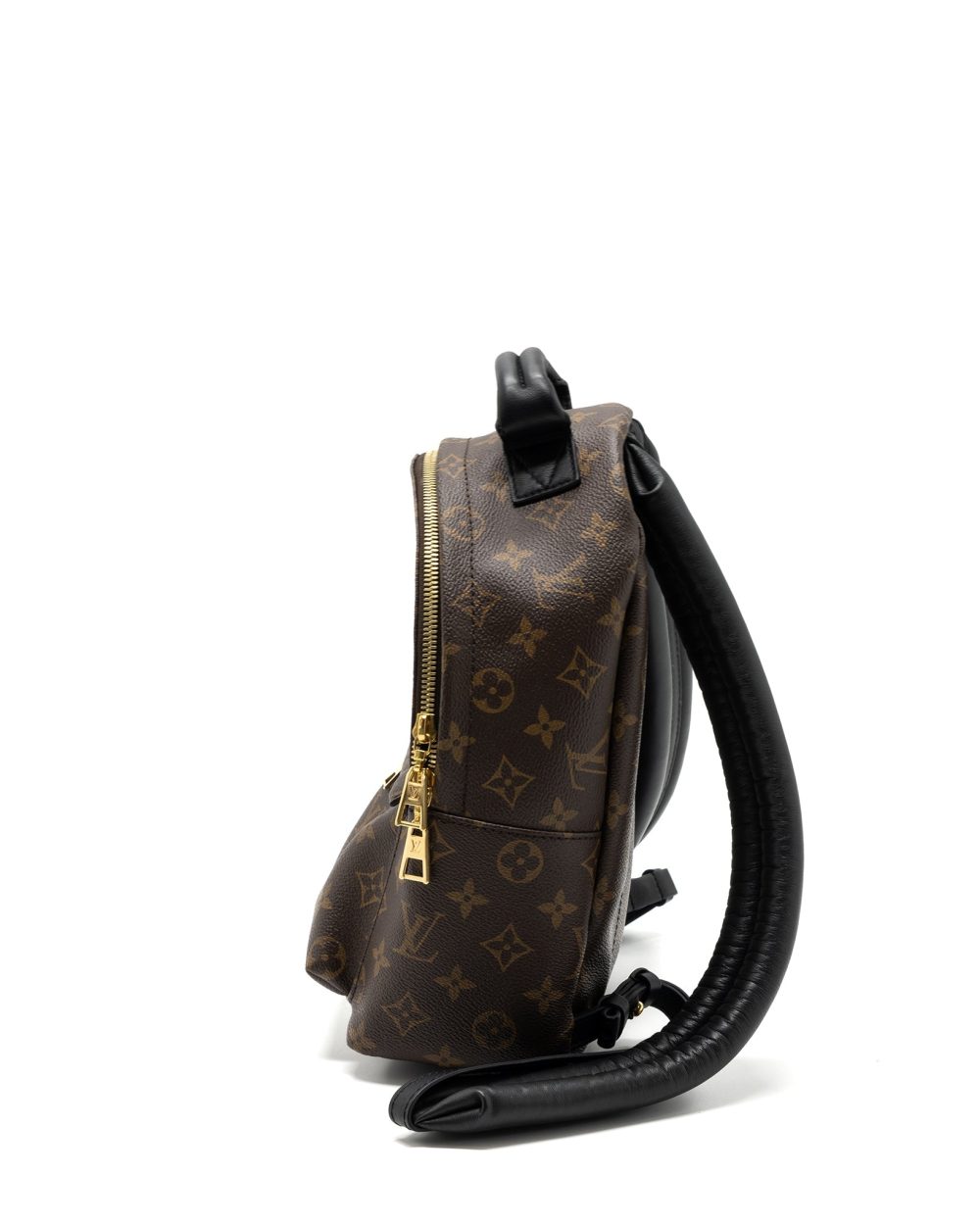 AAA Replica Louis Vuitton LV PALM SPRING BACKPACK PM MONOGRAM CANVAS GHW