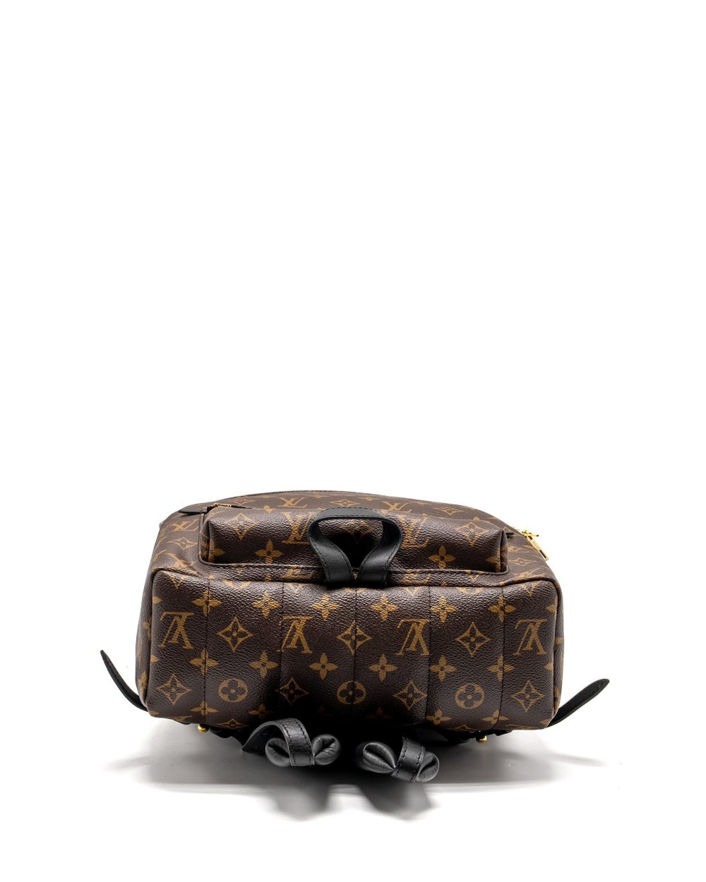 AAA Replica Louis Vuitton LV PALM SPRING BACKPACK MM MONOGRAM CANVAS