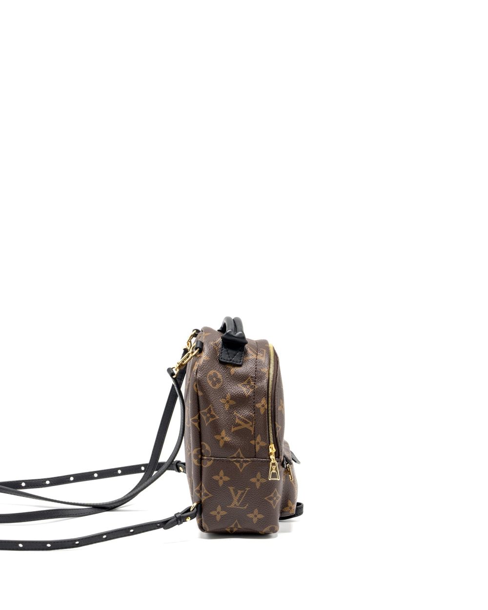 AAA Replica Louis Vuitton LV MINI PALM SPRING BACKPACK MONOGRAM CANVAS GHW