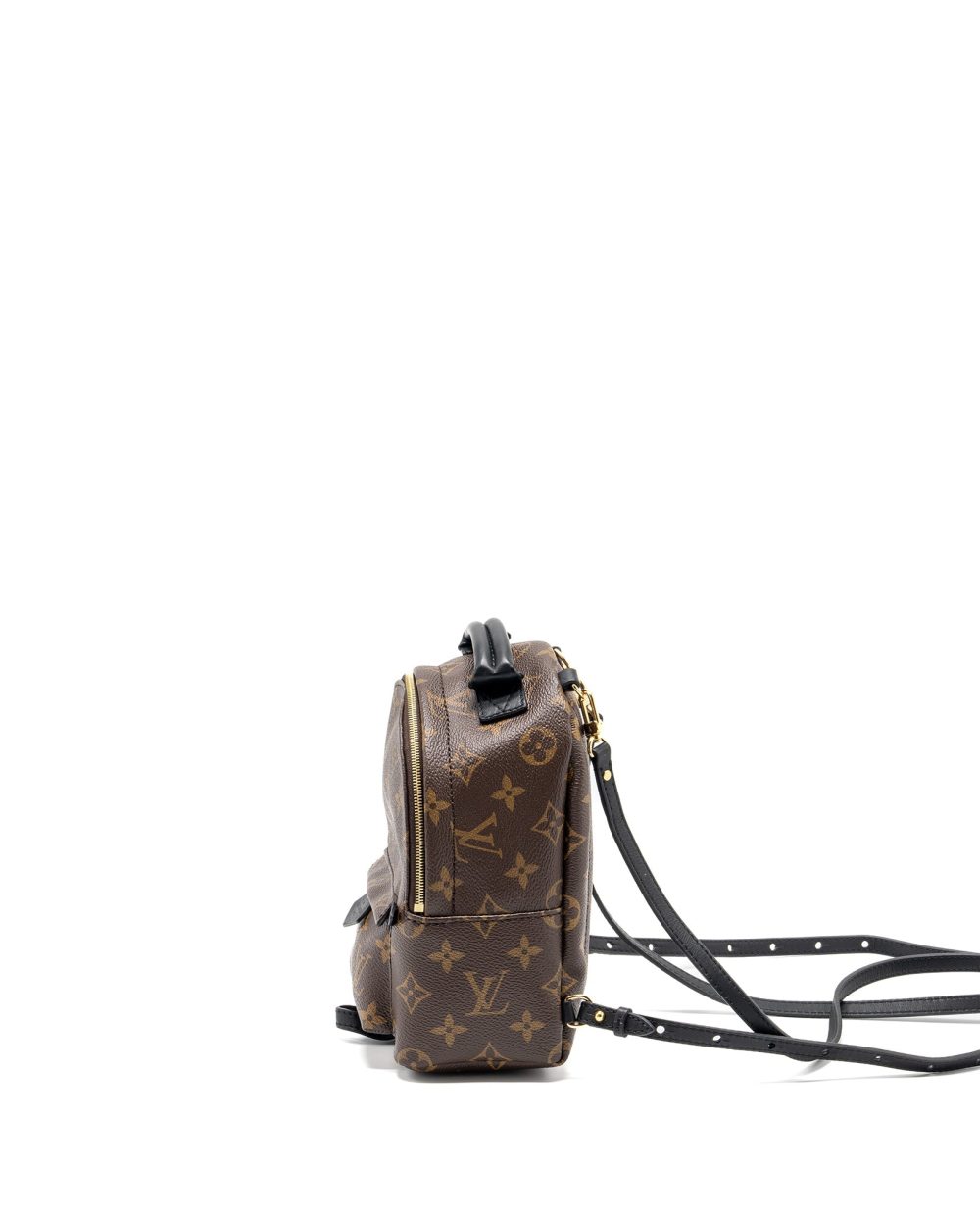 AAA Replica Louis Vuitton LV MINI PALM SPRING BACKPACK MONOGRAM CANVAS GHW