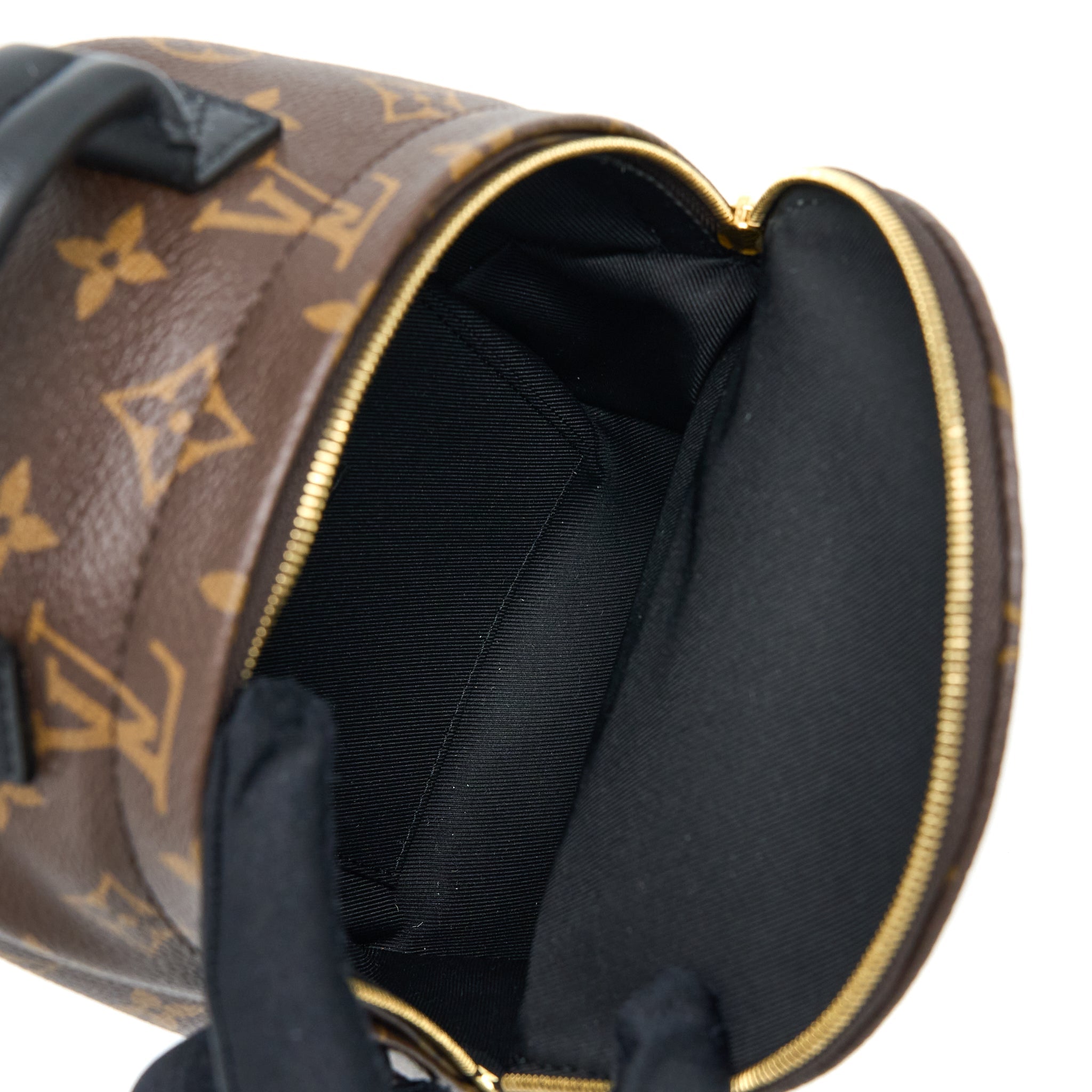 AAA Replica Louis Vuitton LV MINI PALM SPRING BACKPACK MONOGRAM CANVAS GHW