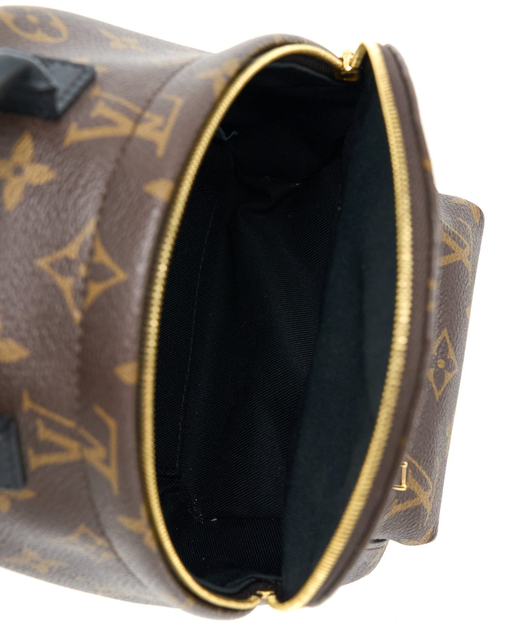AAA Replica Louis Vuitton LV MINI PALM SPRING BACKPACK MONOGRAM CANVAS GHW