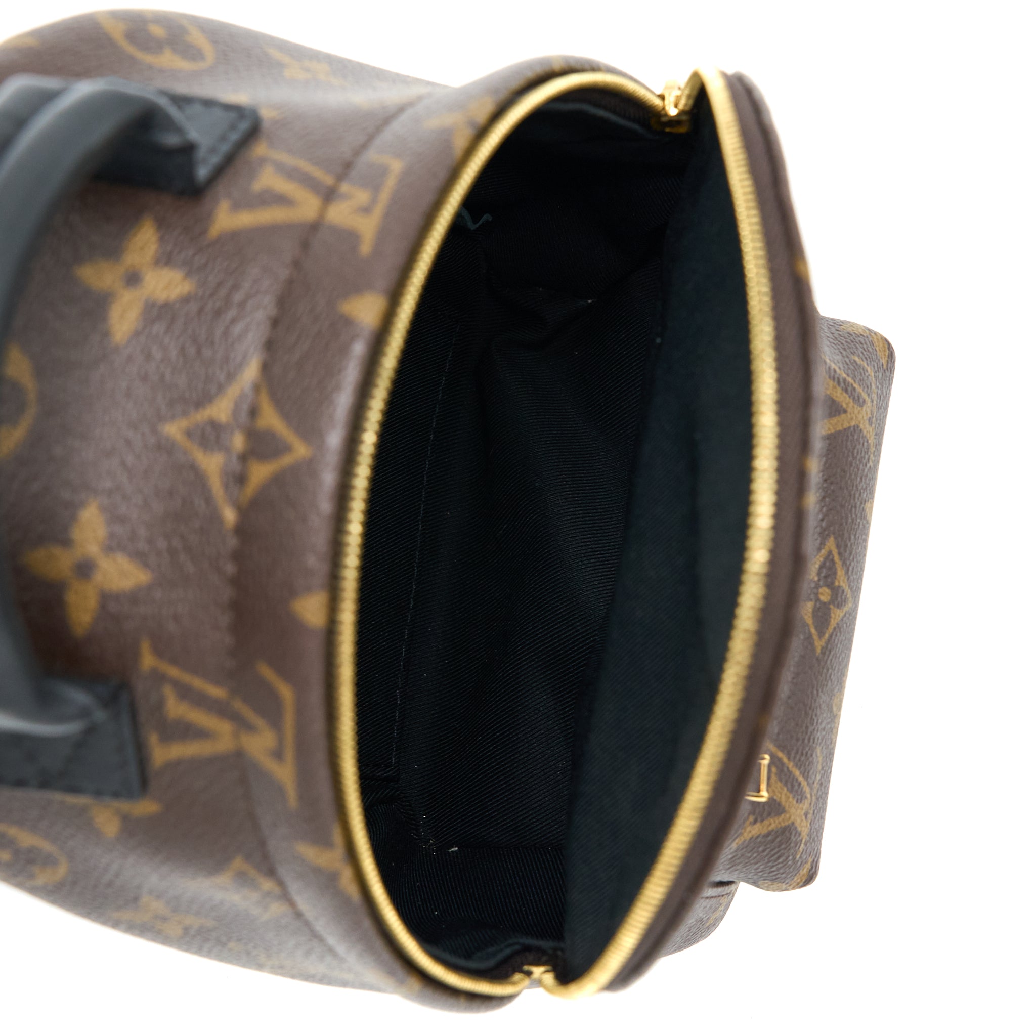 AAA Replica Louis Vuitton LV MINI PALM SPRING BACKPACK MONOGRAM CANVAS GHW