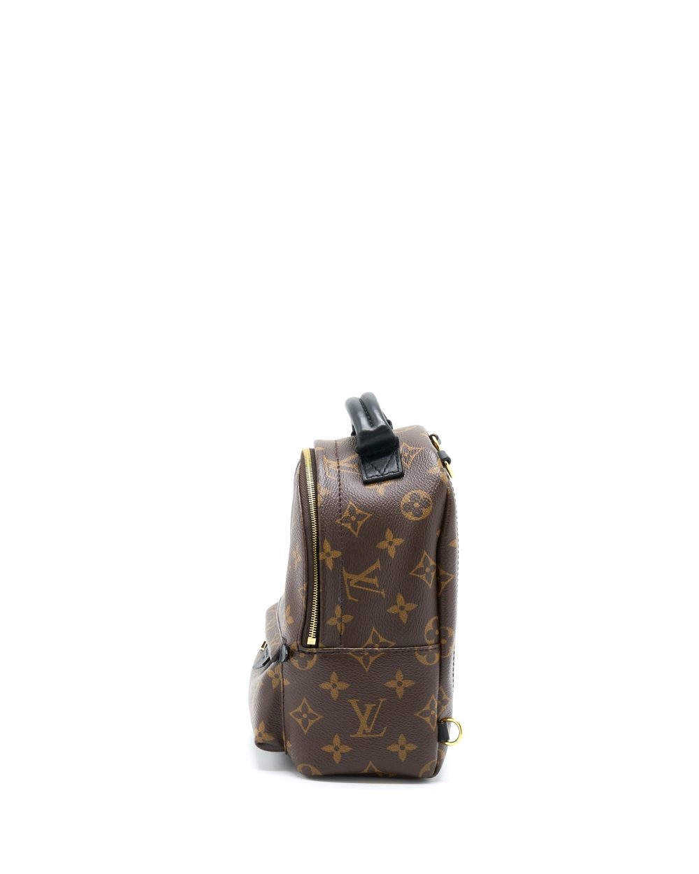 AAA Replica Louis Vuitton LV PALM SPRING MINI BACKPACK MONOGRAM CANVAS(NEW VERSION ZIPPER)