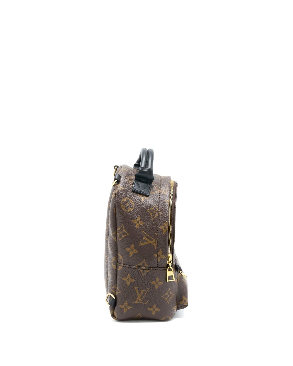AAA Replica Louis Vuitton LV MINI PALM SPRING BACKPACK MONOGRAM CANVAS GHW