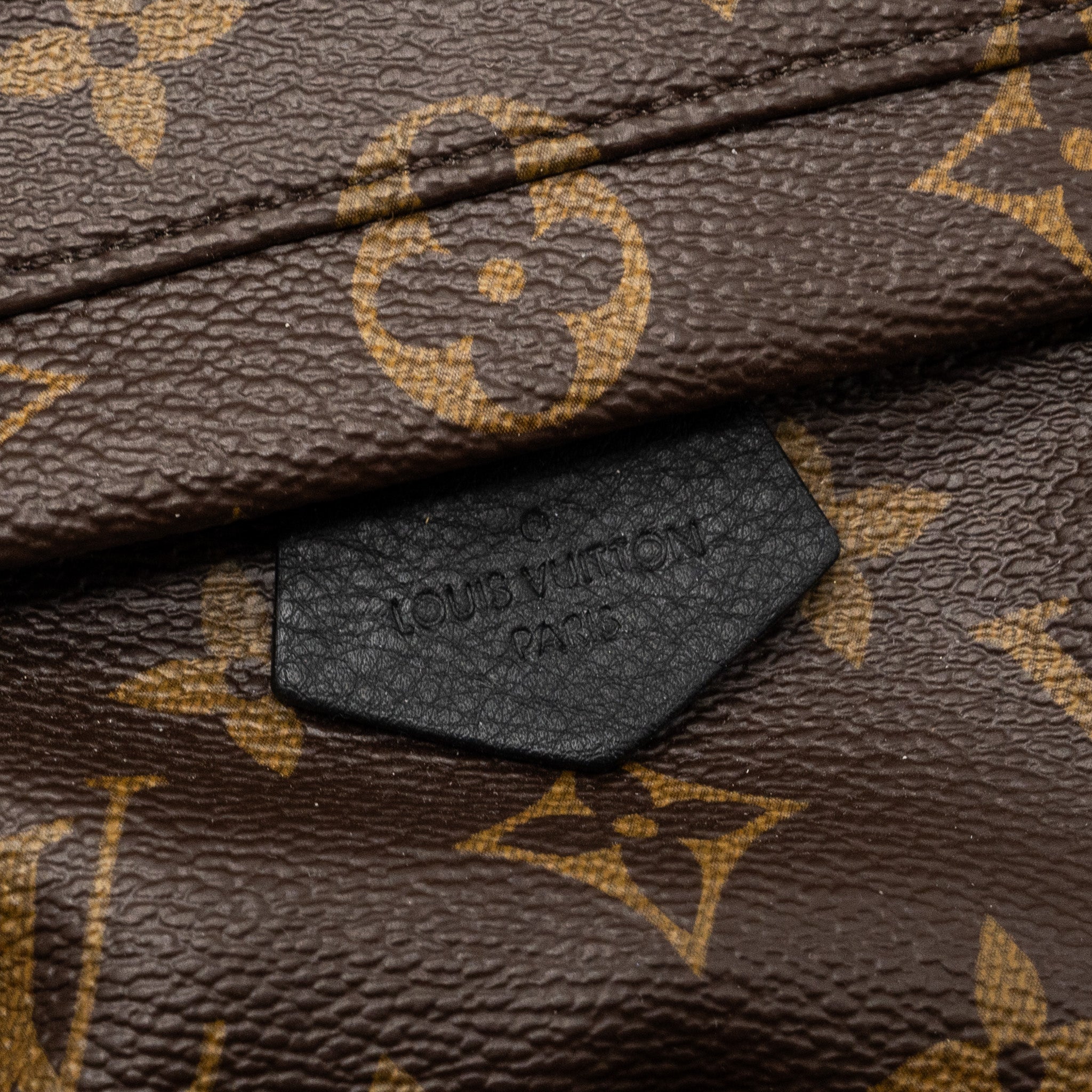 AAA Replica Louis Vuitton LV MINI PALM SPRING BACKPACK MONOGRAM CANVAS GHW