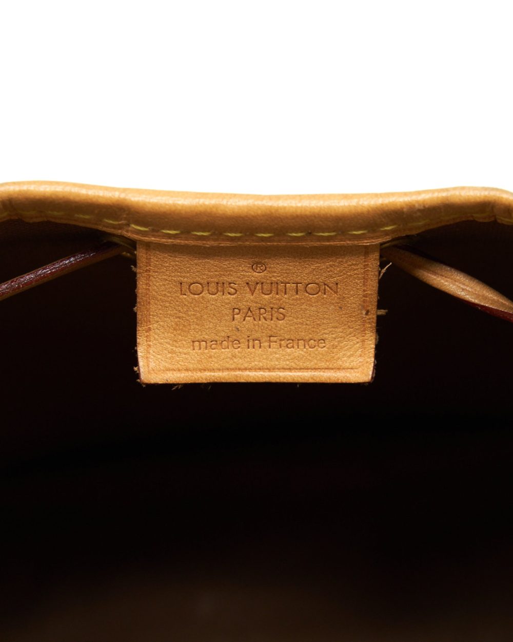 AAA Replica Louis Vuitton LV NANO NOE MONOGRAM CANVAS GHW