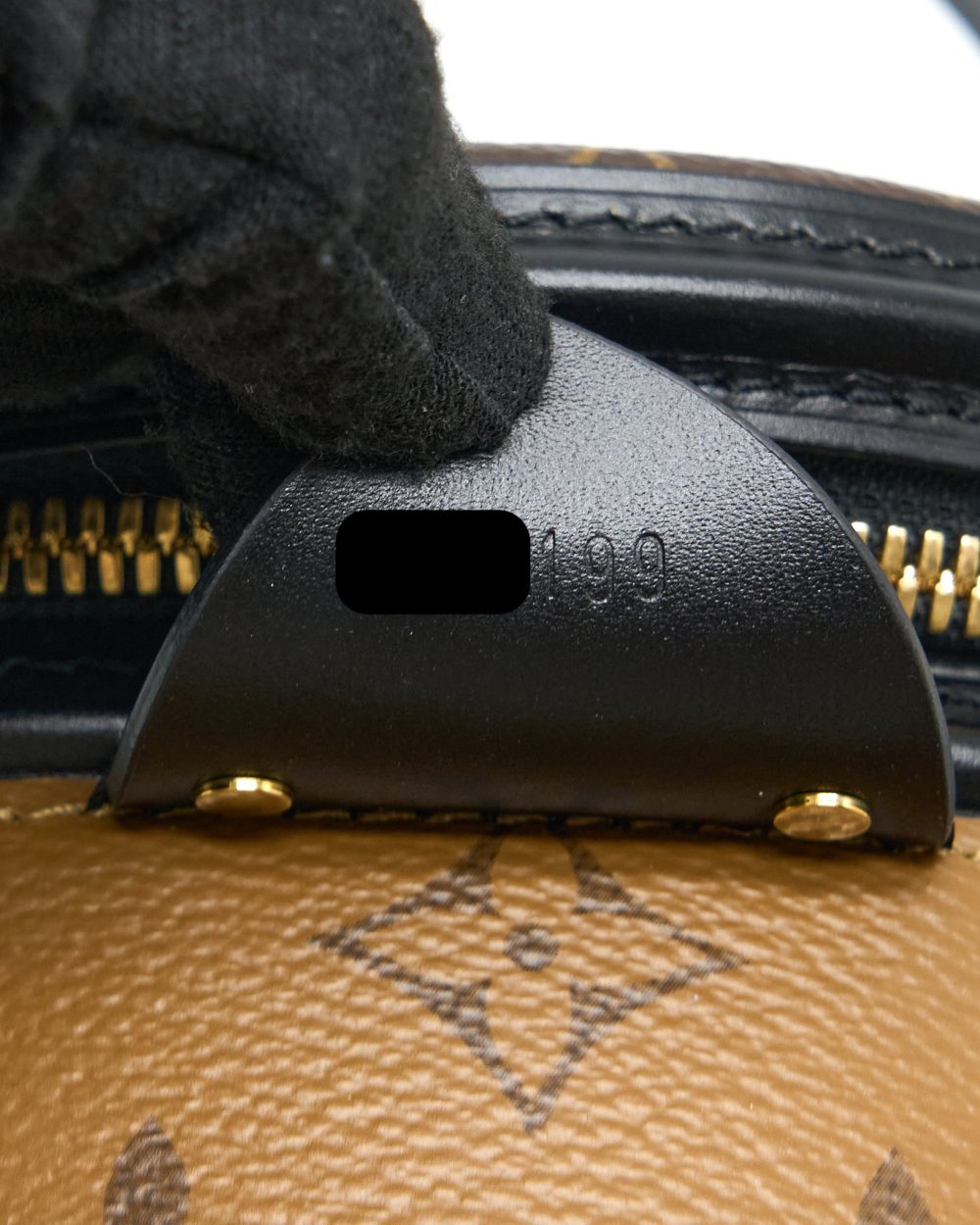 AAA Replica Louis Vuitton LV CANNES MONOGRAM REVERSE CANVAS GHW