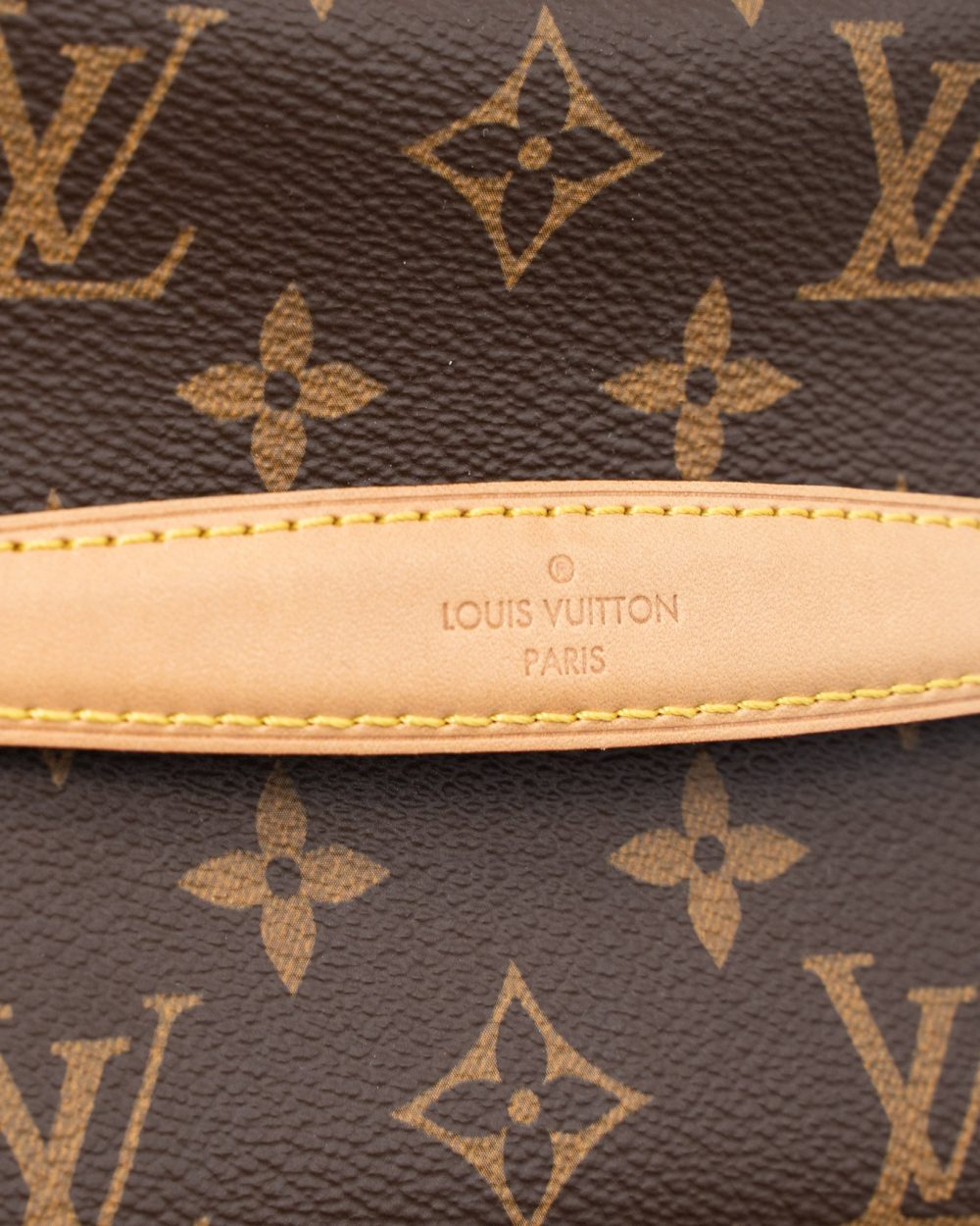 AAA Replica Louis Vuitton LV NICE MINI MONOGRAM CANVAS GHW