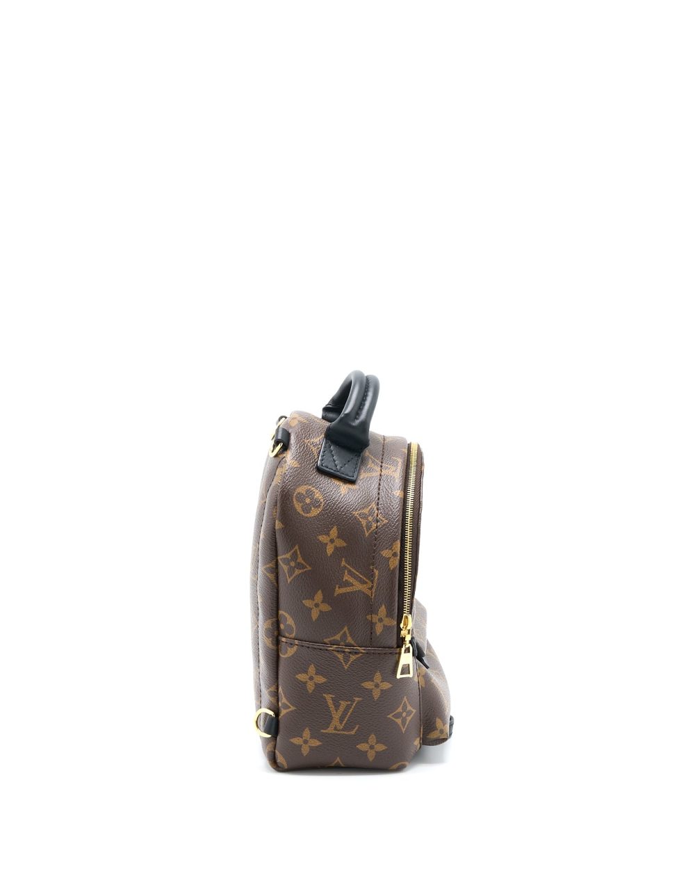 AAA Replica Louis Vuitton LV MINI PALM SPRING BACKPACK MONOGRAM CANVAS GHW