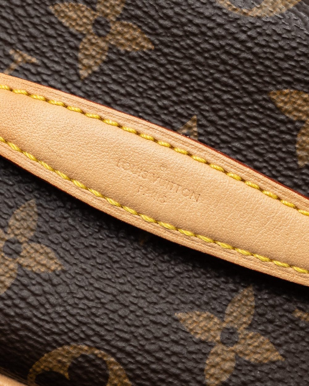 AAA Replica Louis Vuitton LV NICE NANO MONOGRAM CANVAS GHW