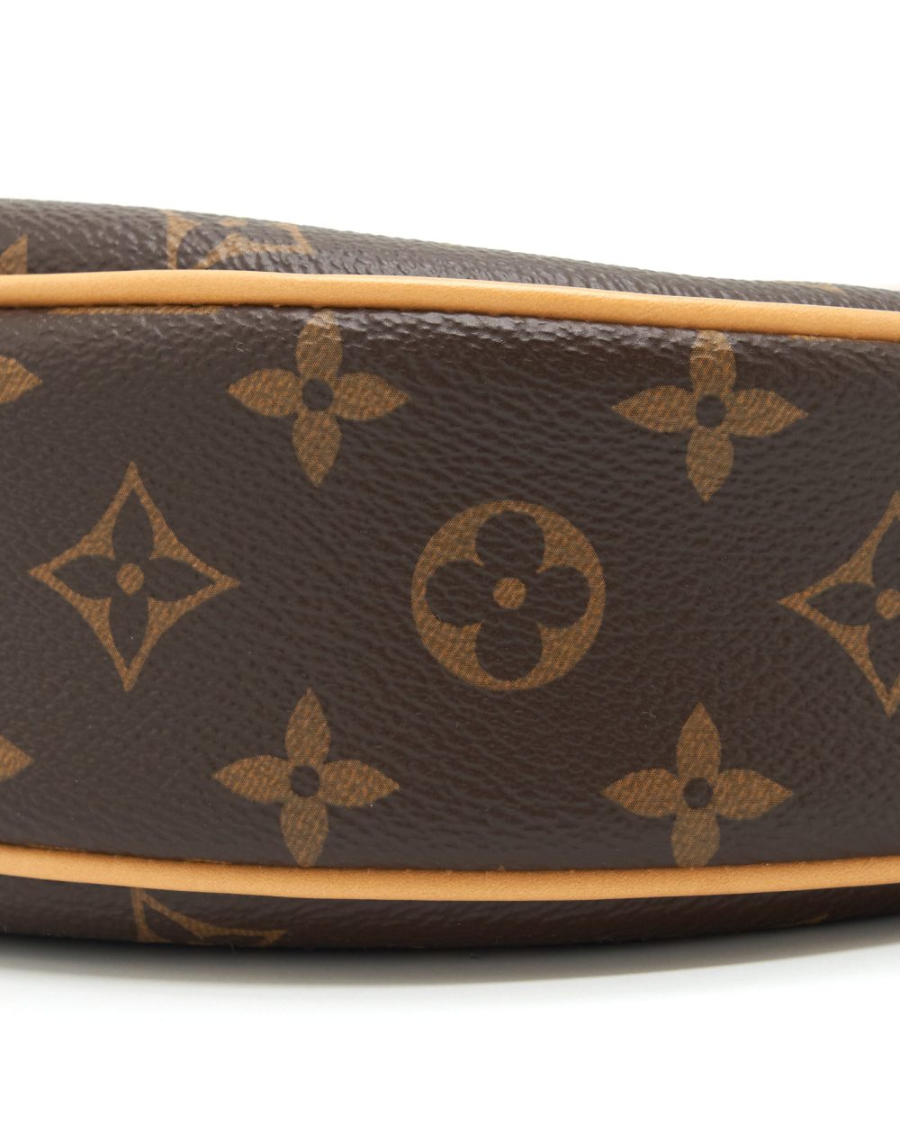 AAA Replica Louis Vuitton LV LOOP BAG MONOGRAM CANVAS GHW