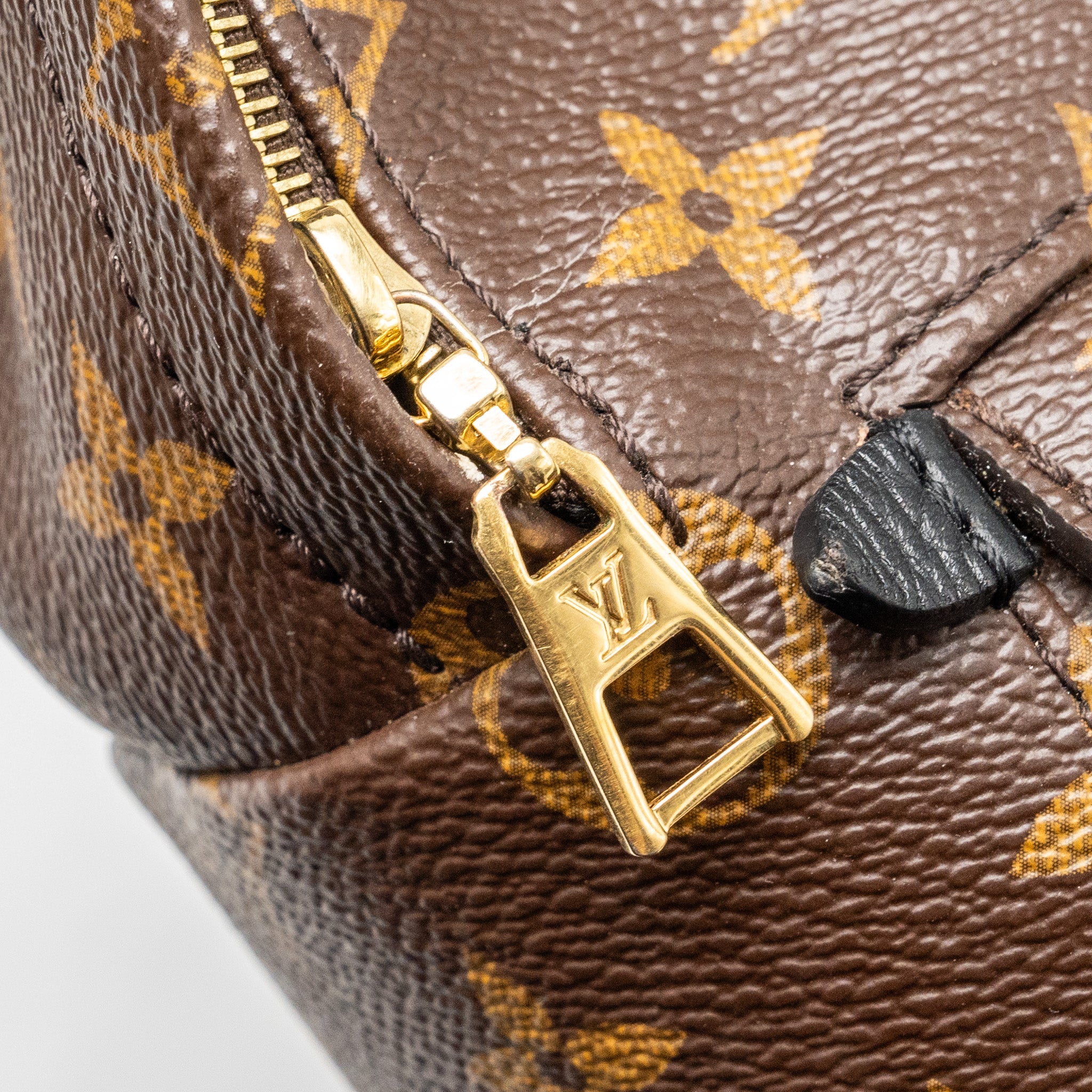AAA Replica Louis Vuitton LV MINI PALM SPRING BACKPACK MONOGRAM CANVAS GHW