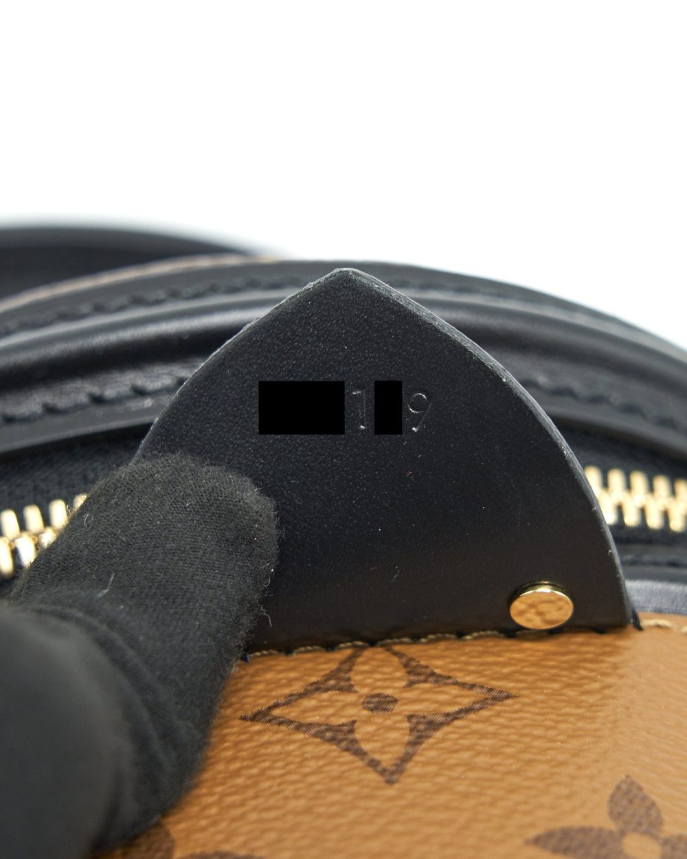 AAA Replica Louis Vuitton LV CANNES MONOGRAM REVERSE CANVAS