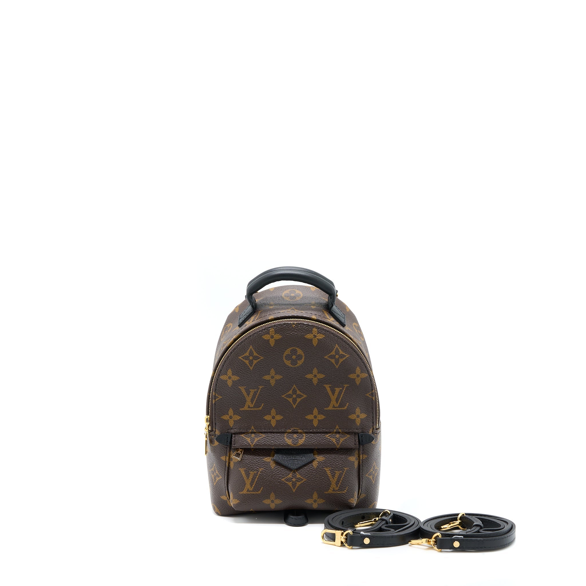 AAA Replica Louis Vuitton LV PALM SPRING MINI BACKPACK MONOGRAM CANVAS GHW (NEW VERSION)