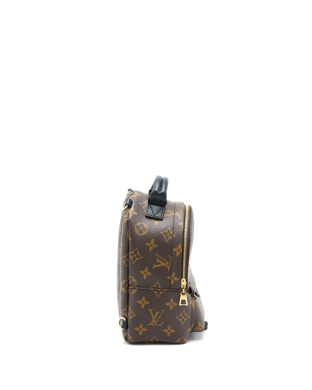AAA Replica Louis Vuitton LV PALM SPRING MINI BACKPACK MONOGRAM CANVAS GHW (NEW VERSION)