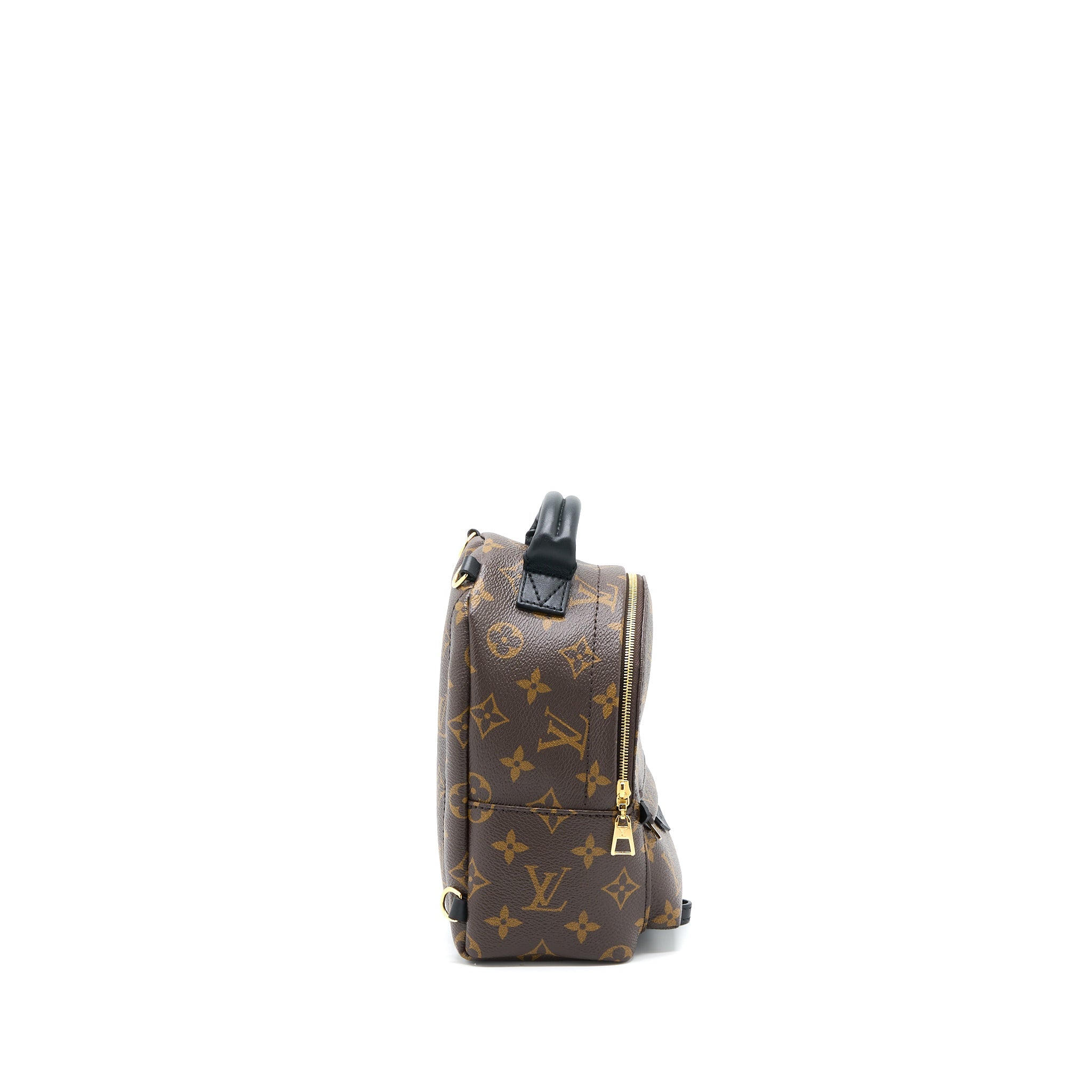 AAA Replica Louis Vuitton LV PALM SPRING MINI BACKPACK MONOGRAM CANVAS GHW (NEW VERSION)