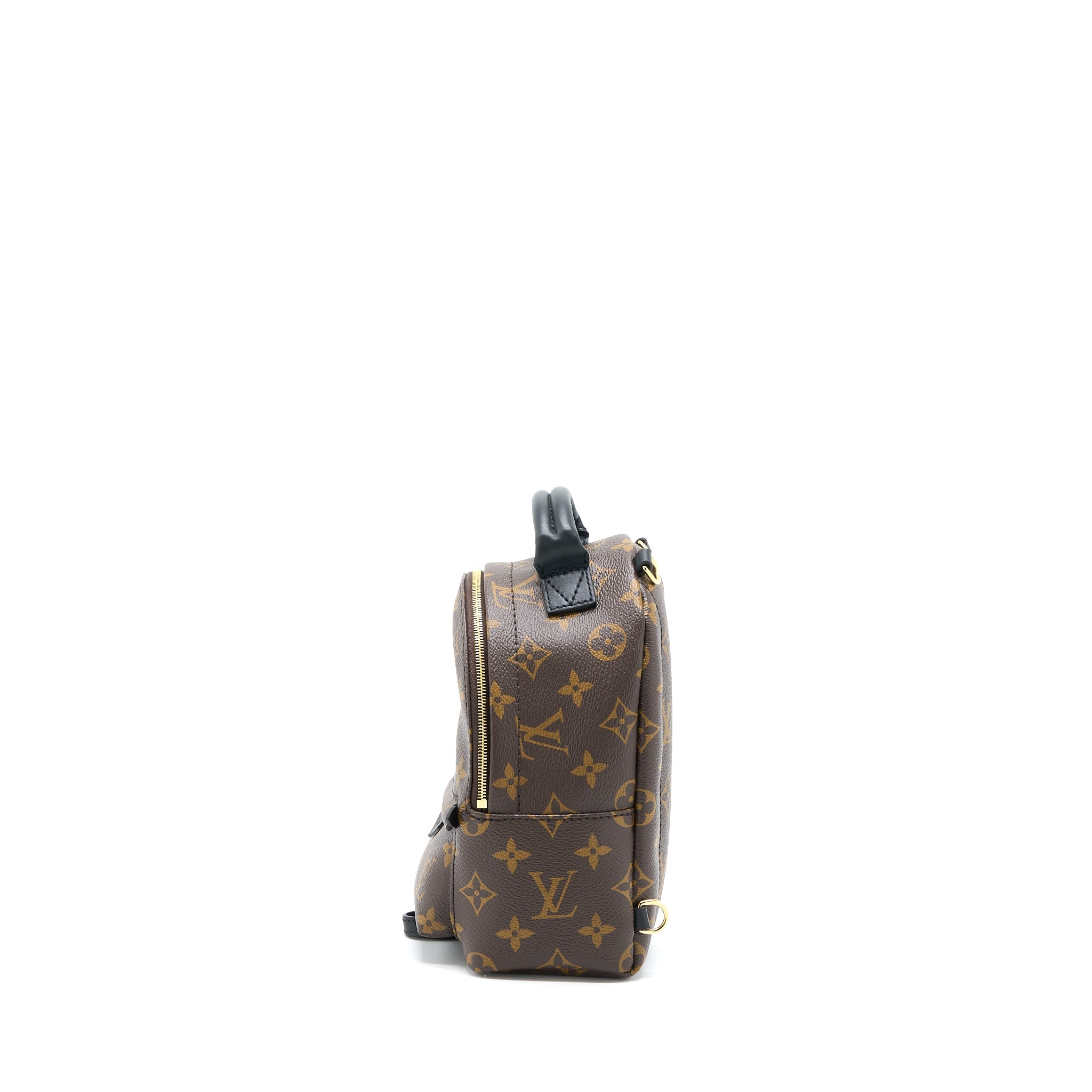AAA Replica Louis Vuitton LV PALM SPRING MINI BACKPACK MONOGRAM CANVAS GHW (NEW VERSION)