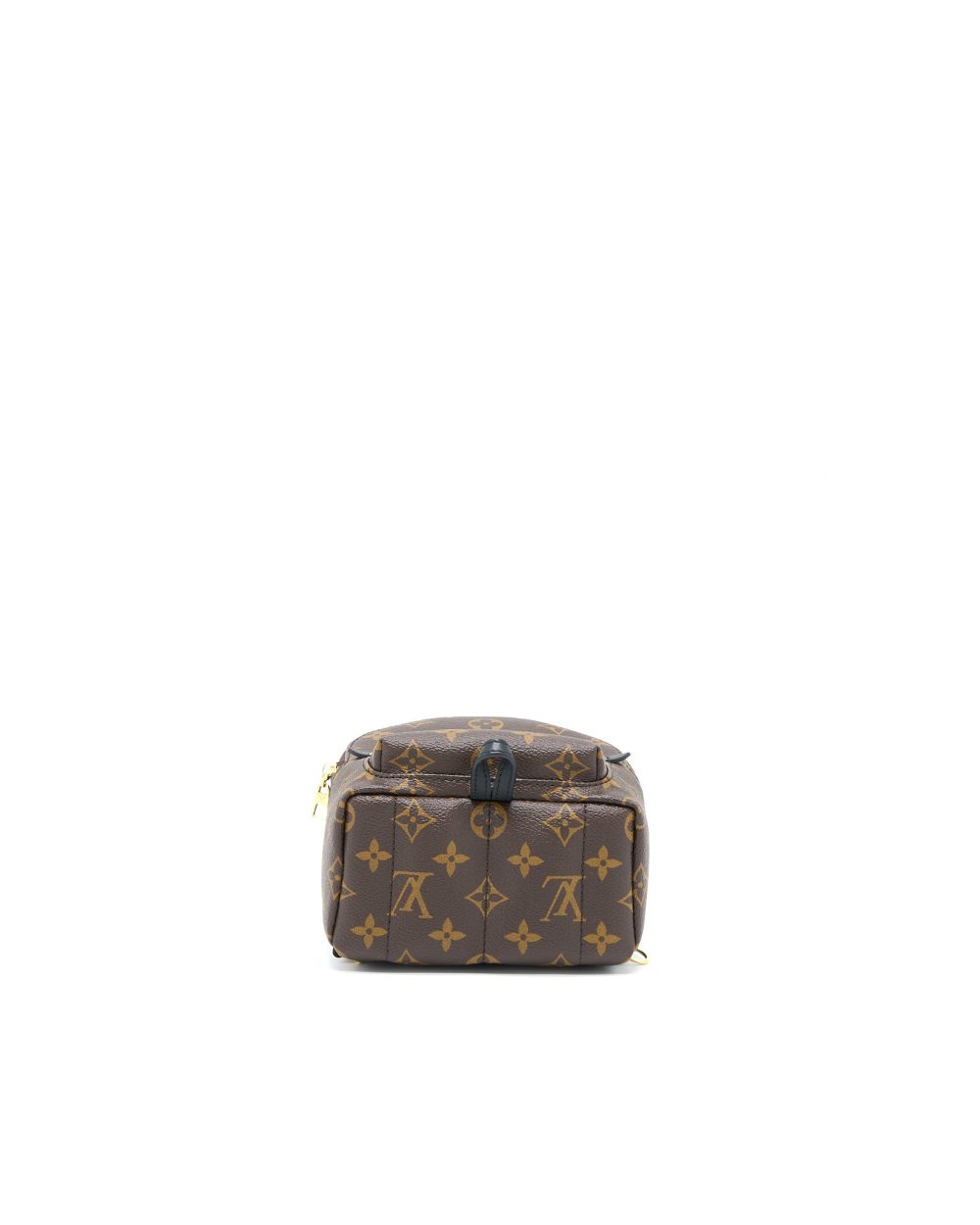 AAA Replica Louis Vuitton LV PALM SPRING MINI BACKPACK MONOGRAM CANVAS GHW (NEW VERSION)