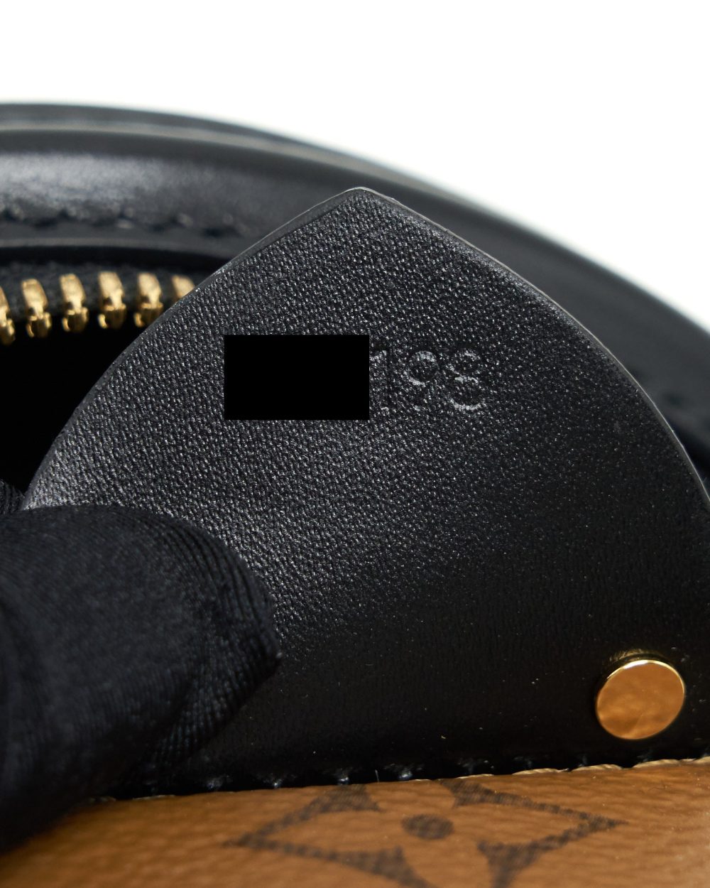 AAA Replica Louis Vuitton LV CANNES BAG MONOGRAM REVERSE CANVAS YEAR 2018