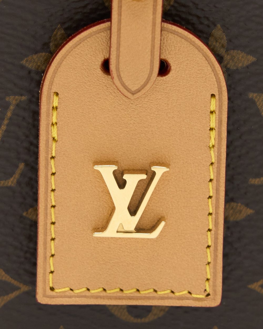 AAA Replica Louis Vuitton LV BOITE CHAPEAU NECKLACE/MINI CHAIN BAG MONOGRAM CANVAS GHW