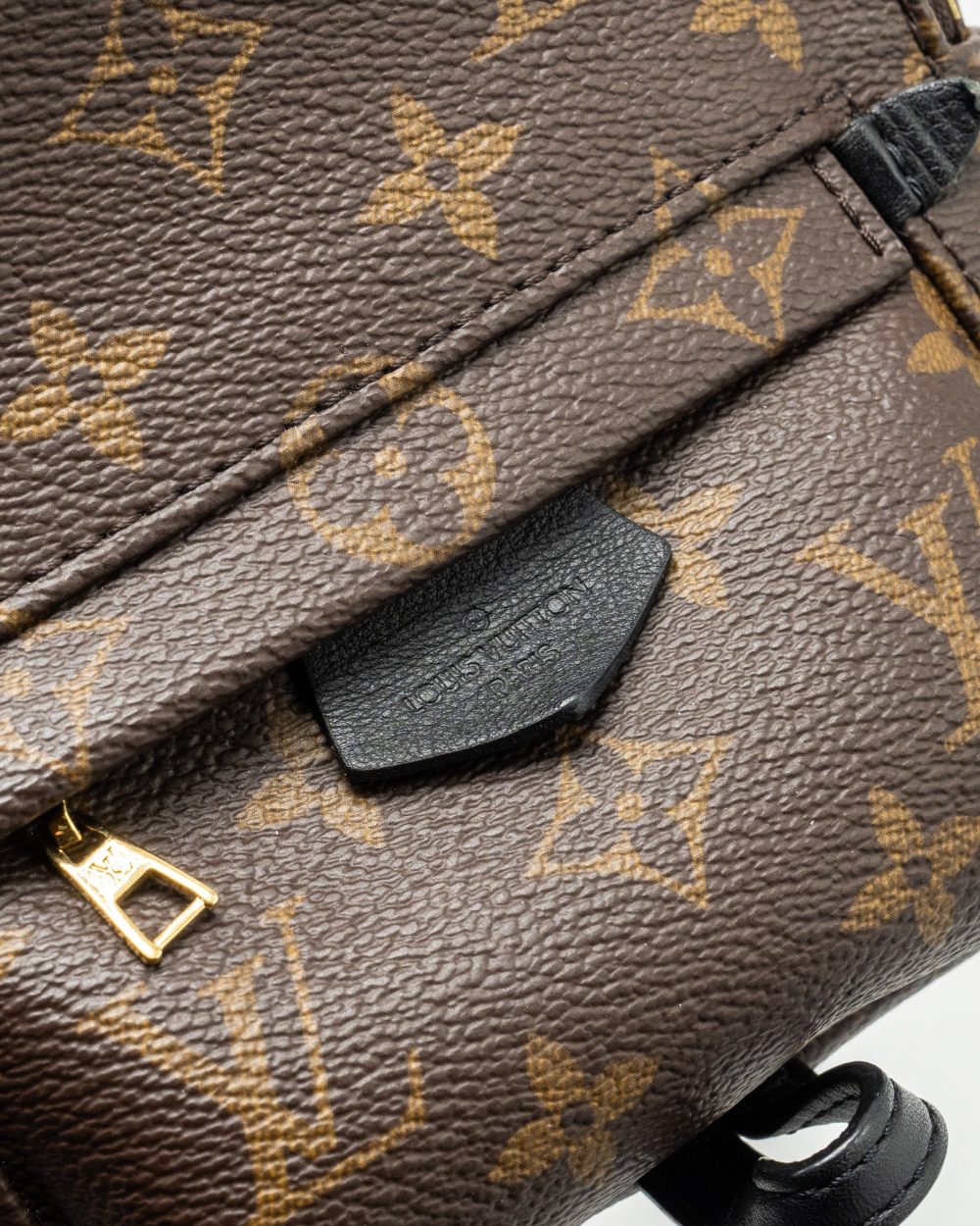 AAA Replica Louis Vuitton LV MINI PALM SPRING BACKPACK MONOGRAM CANVAS GHW