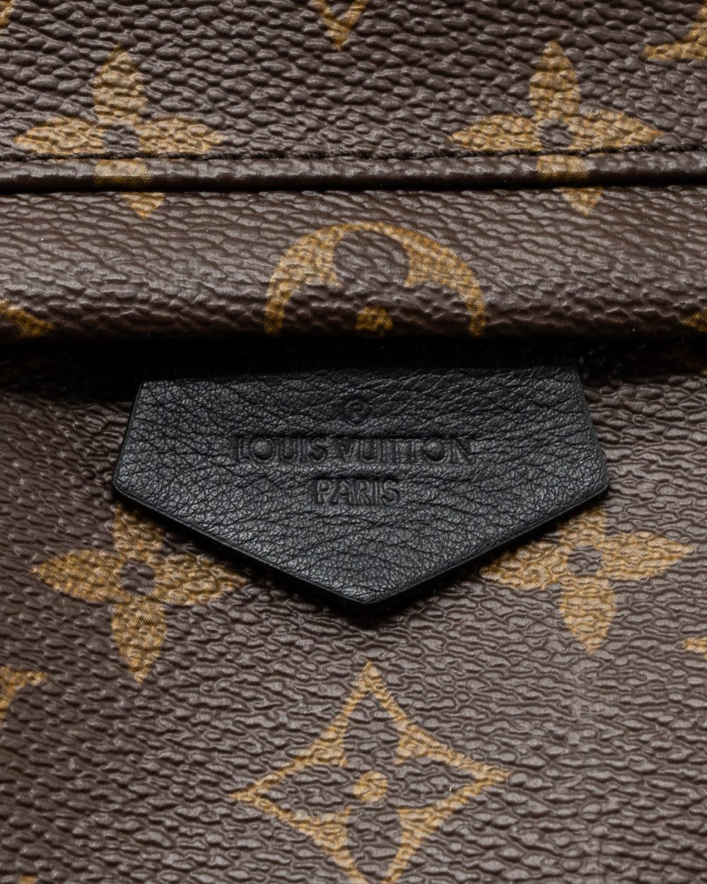 AAA Replica Louis Vuitton LV PALM SPRING BACKPACK PM MONOGRAM CANVAS GHW