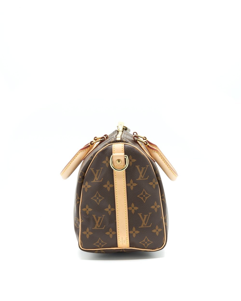 AAA Replica Louis Vuitton LV SPEEDY 25 BANDOULIERE MONOGRAM CANVAS