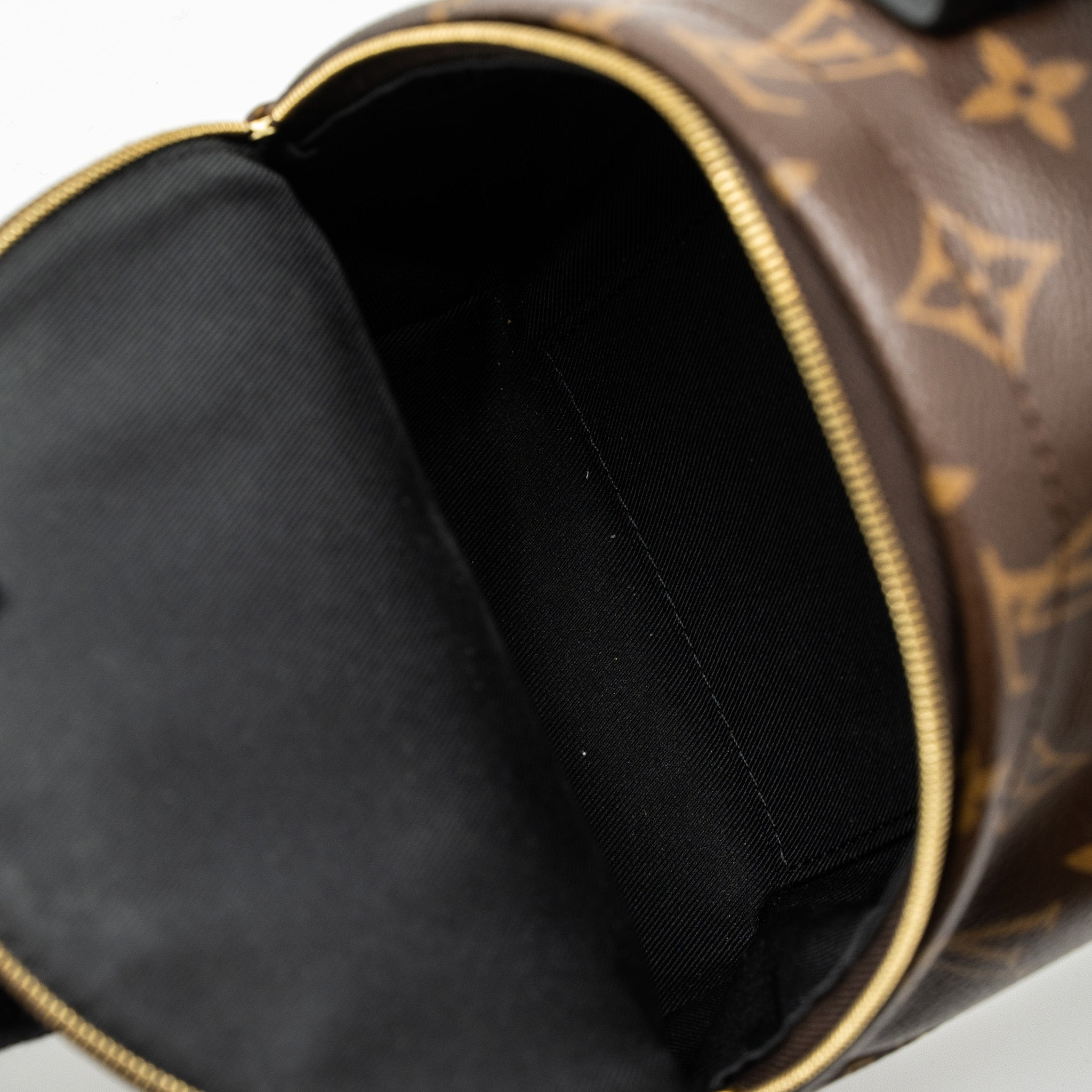 AAA Replica Louis Vuitton LV MINI PALM SPRING BACKPACK MONOGRAM CANVAS GHW (NEW VERSION)