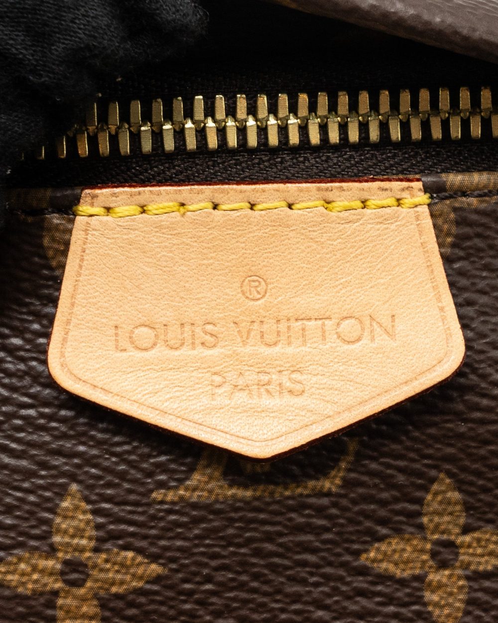 AAA Replica Louis Vuitton LV BUMBAG MONOGRAM CANVAS GHW