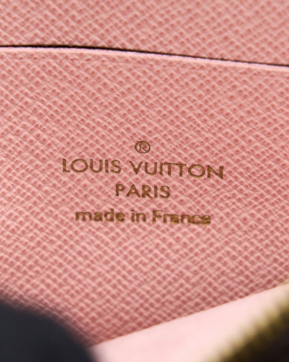 AAA Replica Louis Vuitton LV VIVIAN DOUBLE ZIP POCHETTE LIMITED EDITION MONOGRAM CANVAS/MULTICOLOUR