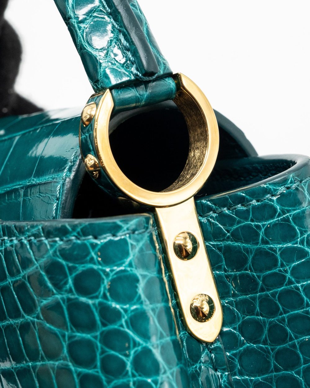 AAA Replica Louis Vuitton LV CAPUCINES MINI CROCODILE BRILLANT BLUE CANARD GHW