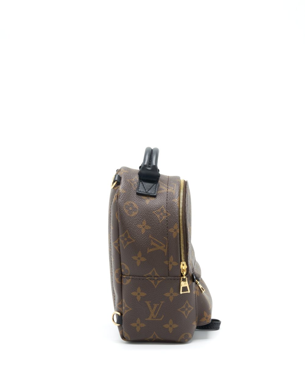 AAA Replica Louis Vuitton LV PALM SPRING MINI BACKPACK MONOGRAM CANVAS NEW ZIPPER