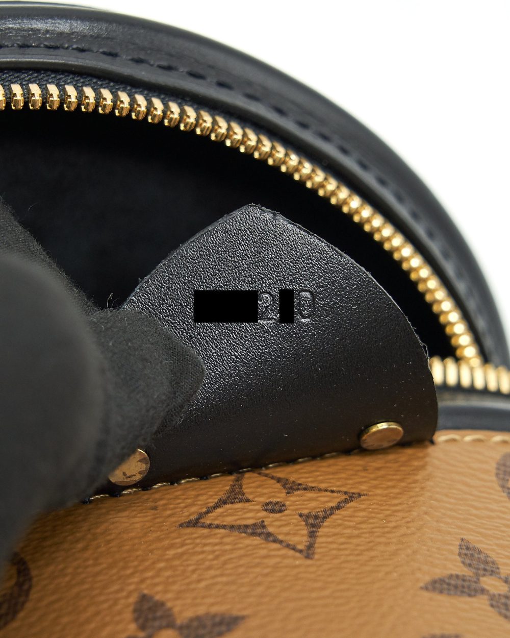 AAA Replica Louis Vuitton LV CANNES MONOGRAM REVERSE CANVAS