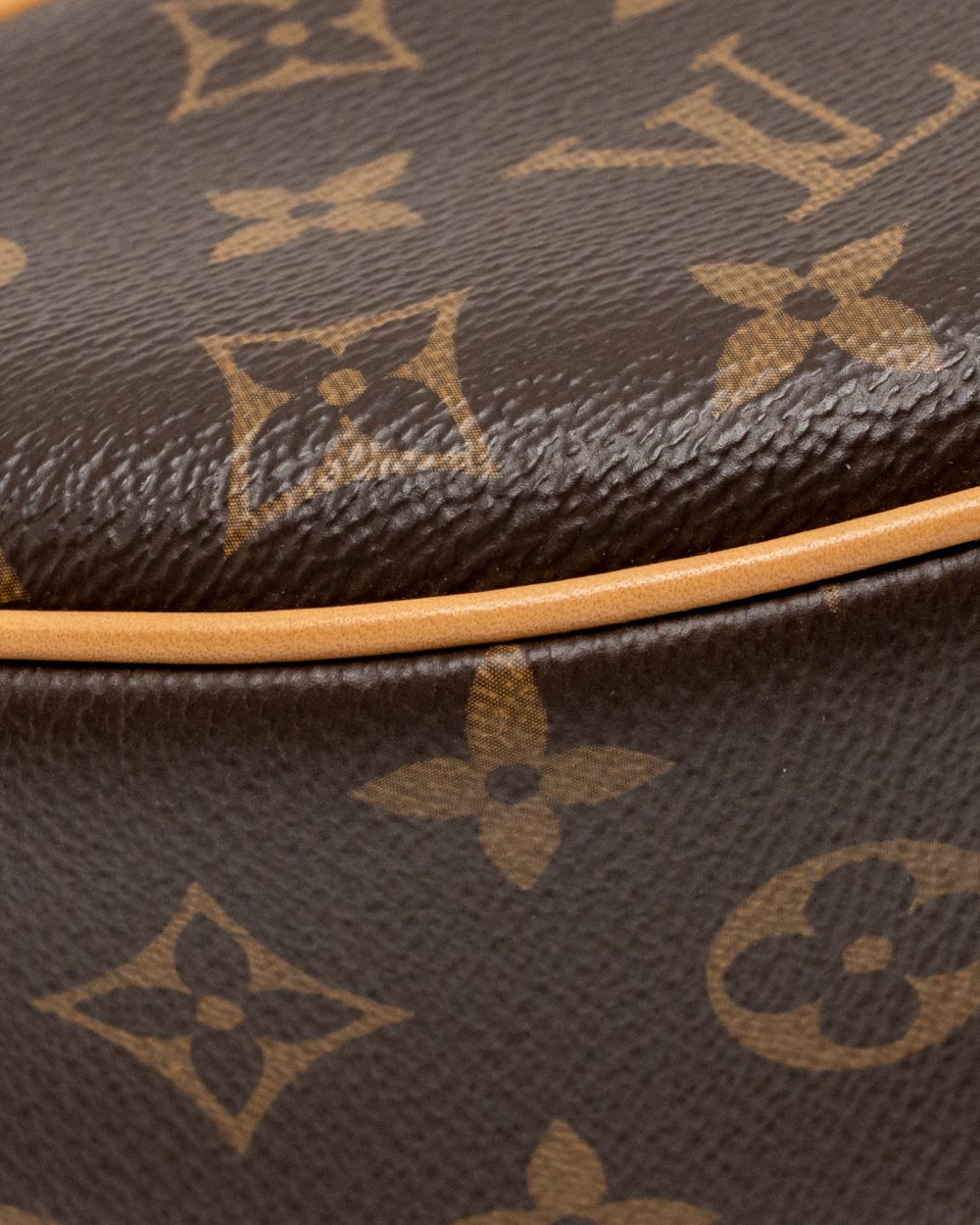 AAA Replica Louis Vuitton LV LOOP BAG MONOGRAM CANVAS GHW
