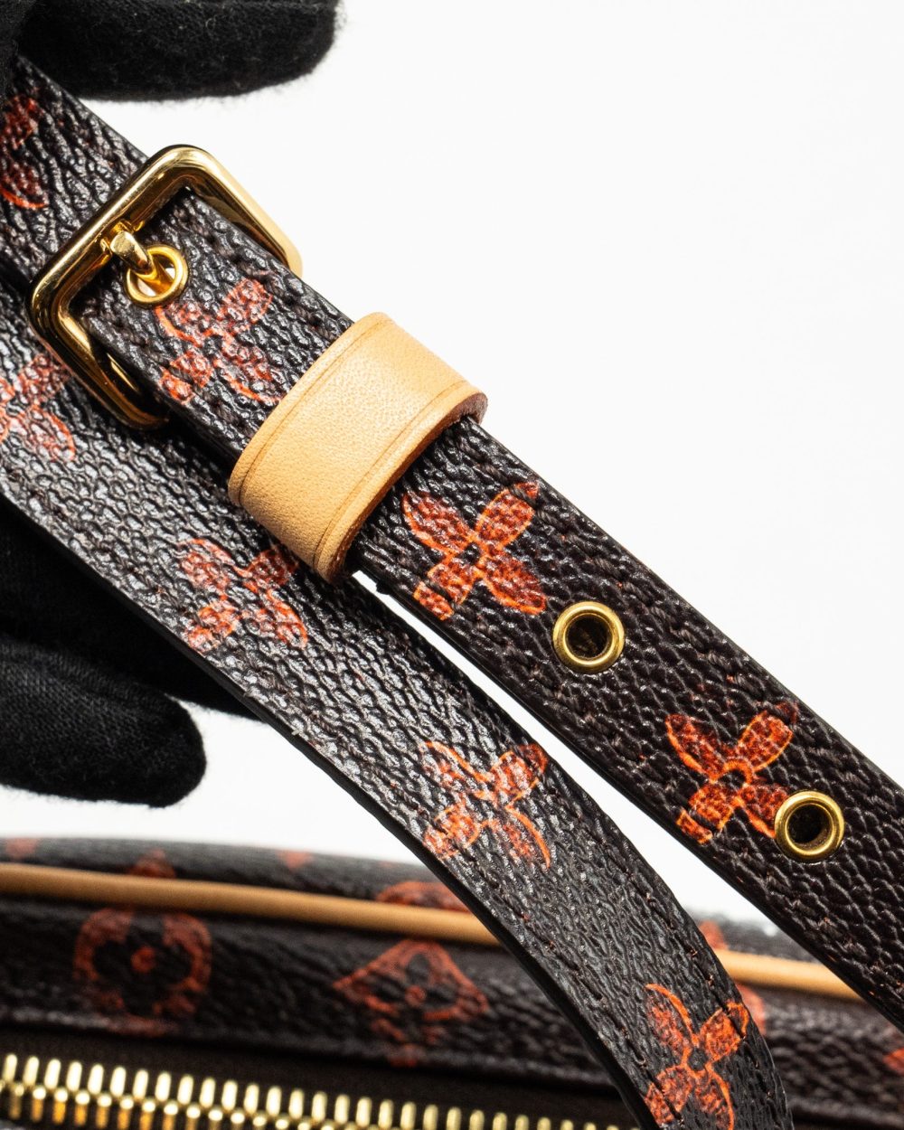 AAA Replica Louis Vuitton LV CATOGRAM PANAME SET MONOGRAM CANVAS MULTICOLOUR GHW 